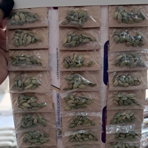 elachi (loose mini pkt 20 taka)