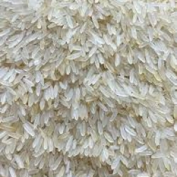 Siddho 28 (25kg) chal