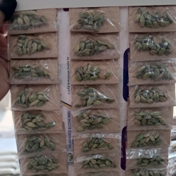 elachi (loose mini pkt 20 taka)